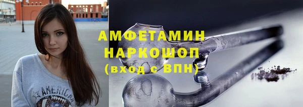 гидра Арсеньев