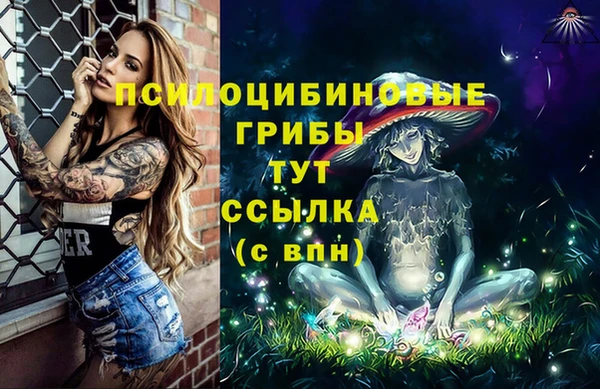 дурь Аркадак