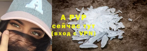 прущие крисы Баксан