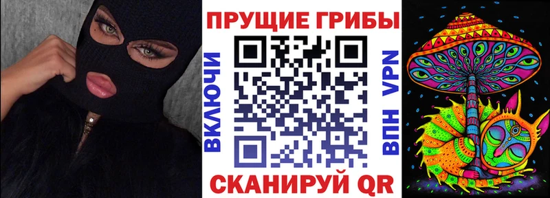 Псилоцибиновые грибы Magic Shrooms  kraken tor  Пудож  купить наркотики сайты 